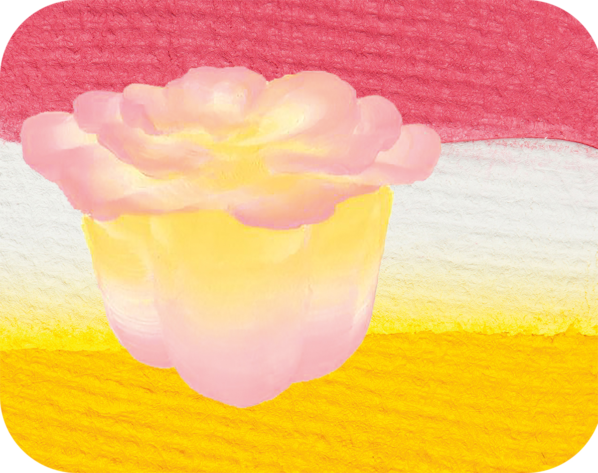 Split Cake Wildrose, 6ml hautfreundliche Profi-Qualität, 9g